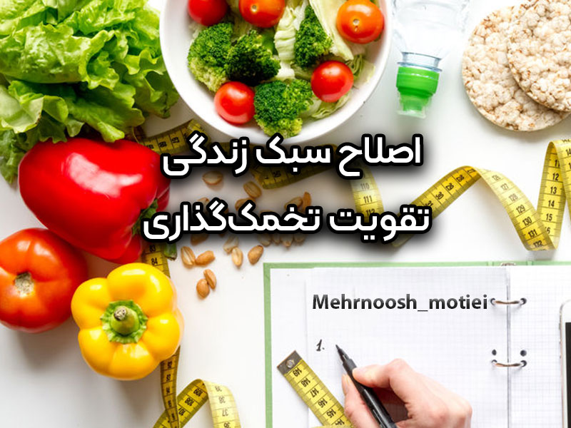 تقویت-تخمک‌گذاری-با-اصلاح-سبک-زندگی